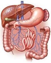 tratto gastrointestinale
